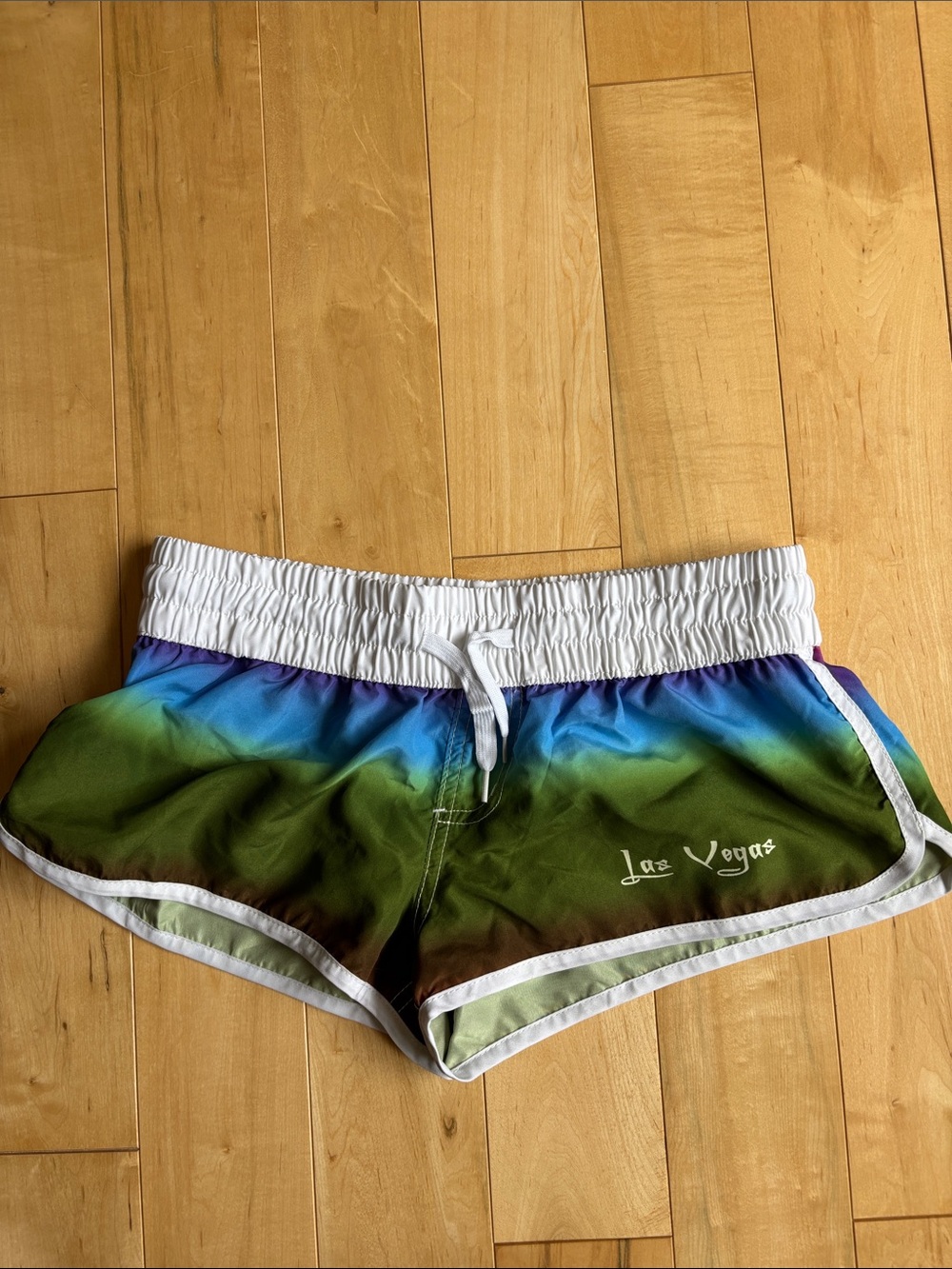 Las Vegas Rainbow Ombre Swim Shorts - White Trim